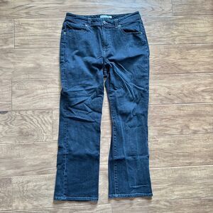 Vintage Chico's Platinum Jeans Size 1.5 Short (10) Black Facet SH Straight Leg